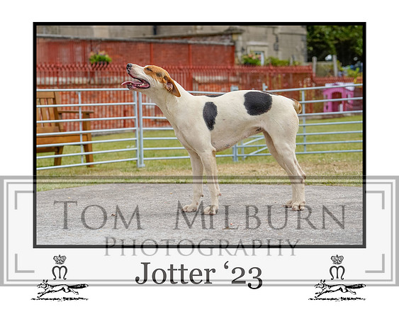 Jotter