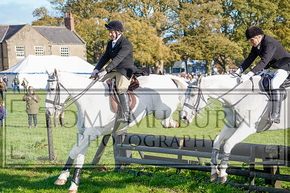 _TBM0387