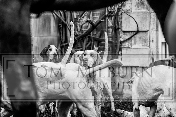 _TBM0166