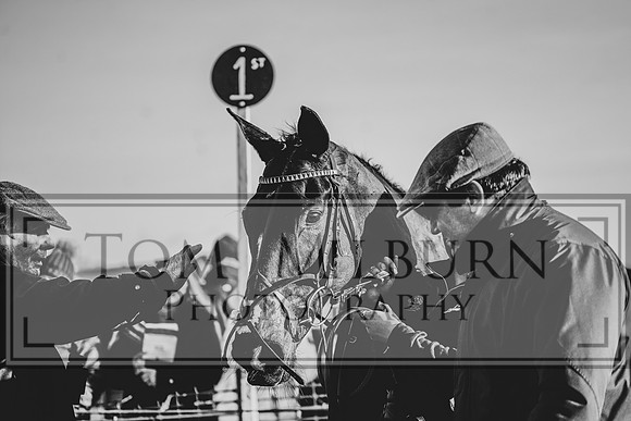 _TBM0820