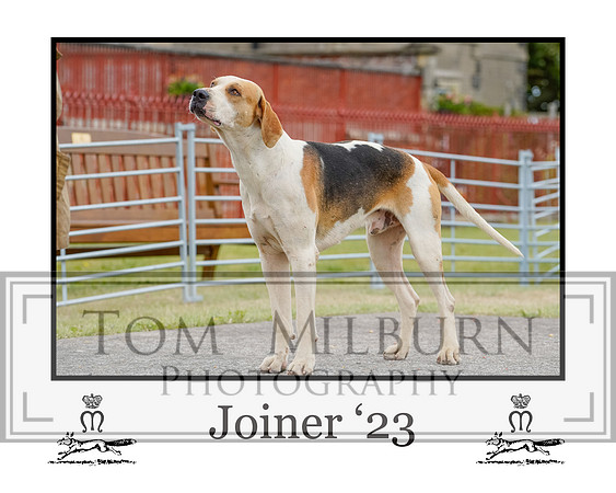 Joiner