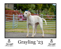 Grayling