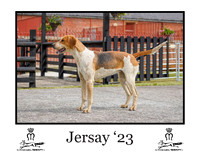 Jersay