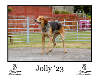 Jolly
