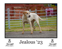 Jealous