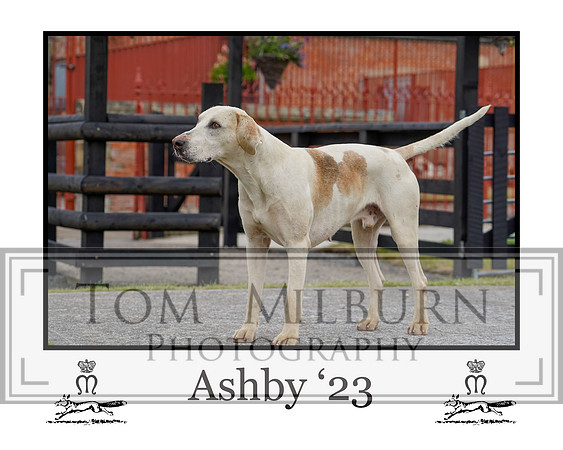 Ashby