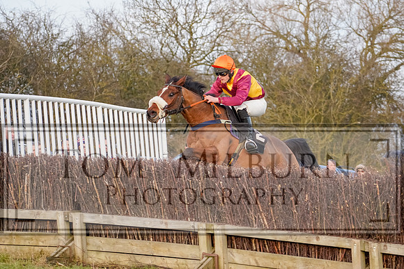 _TBM1000