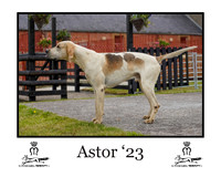 Astor