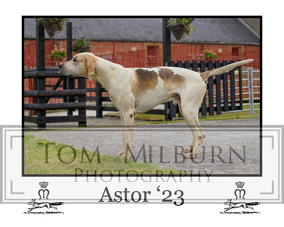 Astor