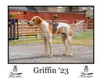 Griffin