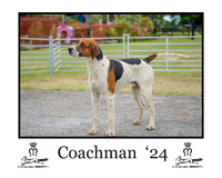 Coachman