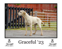 Graceful