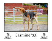 Jasmine