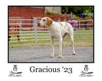 Gracious