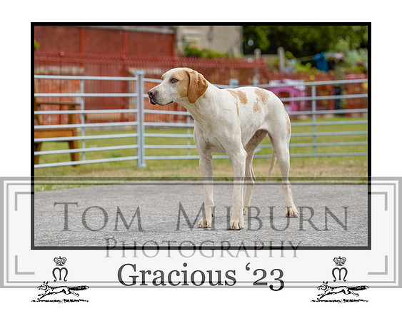 Gracious