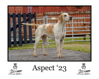 Aspect