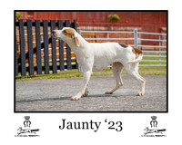 Jaunty