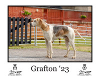 Grafton
